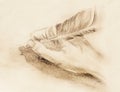 Hand hold a feather quill pen on the letter and envelope, pencil sketch on paper, vintage effect. Royalty Free Stock Photo