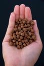 Hand hold fish feed Royalty Free Stock Photo