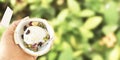 Hand hold freshness homemade coconut ice cream scoop size with cereal and fruit on coconut shell in green tropical summer blurry