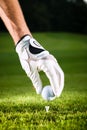 Hand hold golf ball with tee on course Royalty Free Stock Photo