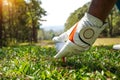 Hand hold golf ball with tee on course, golf course background Royalty Free Stock Photo