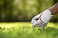 Hand hold golf ball with tee on golf course Royalty Free Stock Photo