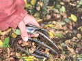 Hand hold horseshoe. Silver wornout brushed horseshoes Royalty Free Stock Photo