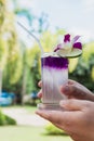 Hand hold Juice of Butterfly pea with lemon and ice in glass. Herb drink for refreshment. Royalty Free Stock Photo