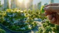 Hand Hold Key with House Model In Background, Eco-Friendly House with Solar Panels and Lush Greenery on its Walls Royalty Free Stock Photo