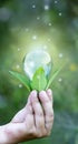 Hand hold the light bulb, green energy innovation , Idea nature conservation and saving energy concept.sustainable development.