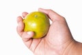 Hand hold mandarin orange isolated white background ,thailand fr Royalty Free Stock Photo