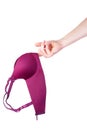 Hand hold purple seamless bra