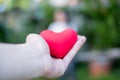 Hand are hold a red heart in the evening to replace the love in the Valentine.Give heart or love and concern to each other.Have