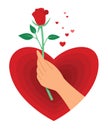Hand Hold a Red Rose in Big Heart for the Valentine Decoration. Royalty Free Stock Photo