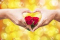 Hand hold red rose Royalty Free Stock Photo