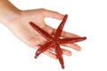 Hand hold red starfish isolated on white Royalty Free Stock Photo