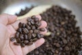 hand hold roasted coffee bean from fresh roasting in home cafe Royalty Free Stock Photo