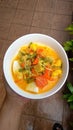 Hand hold sayur Lodeh Vegetable Soup Malaysian Dish