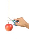 Hand hold the scissors try to cut rope that hang apple.