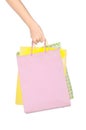 Hand Hold Shopping Bag