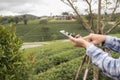 Hand hold smart phone and touch on screen at tea farm. business