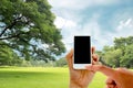 hand hold and touch screen smart phone on big trees in the garden Royalty Free Stock Photo