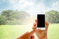 Hand hold and touch screen smart phone on big trees Royalty Free Stock Photo