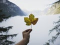 Hand holding acer yellow orange autumn fall season pseudoplatanus sycamore maple leaf mountain panorama background Royalty Free Stock Photo