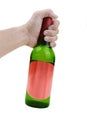 Hand holding alcoholic drink bottle Royalty Free Stock Photo
