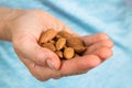 Hand holding almonds Royalty Free Stock Photo