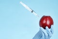 Hand holding apple with syringe. GMO and pesticide modification. Scientist in gloves injecting apple Royalty Free Stock Photo
