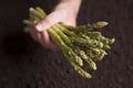 Hand holding Asparagus Royalty Free Stock Photo