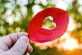 Hand holding autumn leaf with heart-shaped hole. Royalty Free Stock Photo