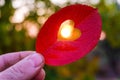 Hand holding autumn leaf with heart-shaped hole and sun in center Royalty Free Stock Photo