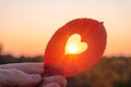 Hand holding autumn leaf with heart-shaped hole and sunset sun in center Royalty Free Stock Photo
