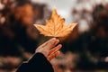 Hand Holding a single Autumn Leaf Royalty Free Stock Photo