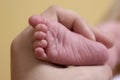 hand holding baby& x27;s foot Royalty Free Stock Photo