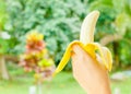 Hand holding a banana,Healthy food, bananas rich in vitamins, healthy lifestyle Royalty Free Stock Photo