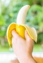 Hand holding a banana,Healthy food, bananas rich in vitamins, healthy lifestyle and prevention of vitamin deficiency Royalty Free Stock Photo