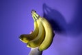 Hand holding bananas Royalty Free Stock Photo