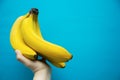 Hand holding bananas Royalty Free Stock Photo