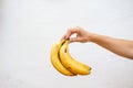 Hand holding bananas in a white wall Royalty Free Stock Photo