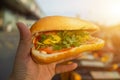 Hand holding Banh Mi - Vietnamese Sandwich, popular street food from bread stuffed with raw material: pork, ham, pate, egg and Royalty Free Stock Photo