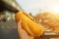 Hand holding Banh Mi - Vietnamese Sandwich, popular street food from bread stuffed with raw material: pork, ham, pate, egg and Royalty Free Stock Photo