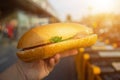 Hand holding Banh Mi - Vietnamese Sandwich, popular street food from bread stuffed with raw material: pork, ham, pate, egg and Royalty Free Stock Photo