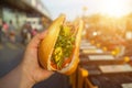 Hand holding Banh Mi - Vietnamese Sandwich, popular street food from bread stuffed with raw material: pork, ham, pate, egg and Royalty Free Stock Photo