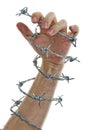 Hand holding a barbed wire