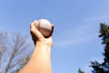 Hand holding baseball against blue clean sky with tree. Royalty Free Stock Photo