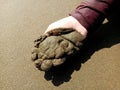 Hand holding beach sand