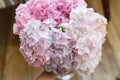 Hand holding beautiful hydrangea bouquet in sunny room. Pink and blue hydrangea petals close up. Happy Mothers day and Womens day Royalty Free Stock Photo