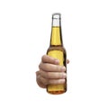 Hand holding a beer bottle without label isolated on white background Royalty Free Stock Photo