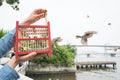 Hand holding a bird cage for liberation.