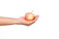 Hand holding bite red apple isolated on white background. Ripe red apple in human hand Royalty Free Stock Photo