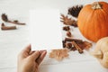 Hand holding blank card on background of pumpkin, autumn leaves, anise, acorns on white wood. Autumn greeting card mock up.